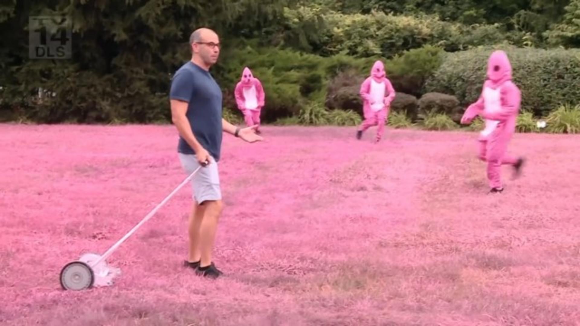 Still from Pity in Pink
