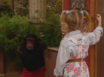 Still from Too Much Monkey Business