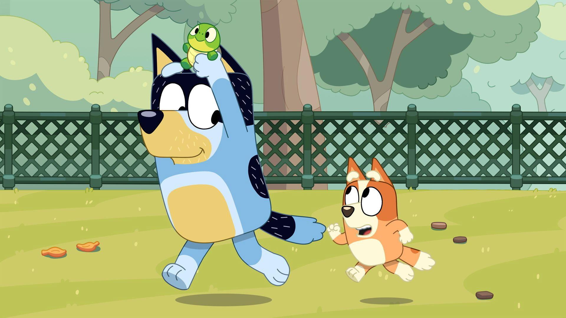 Still from Turtleboy