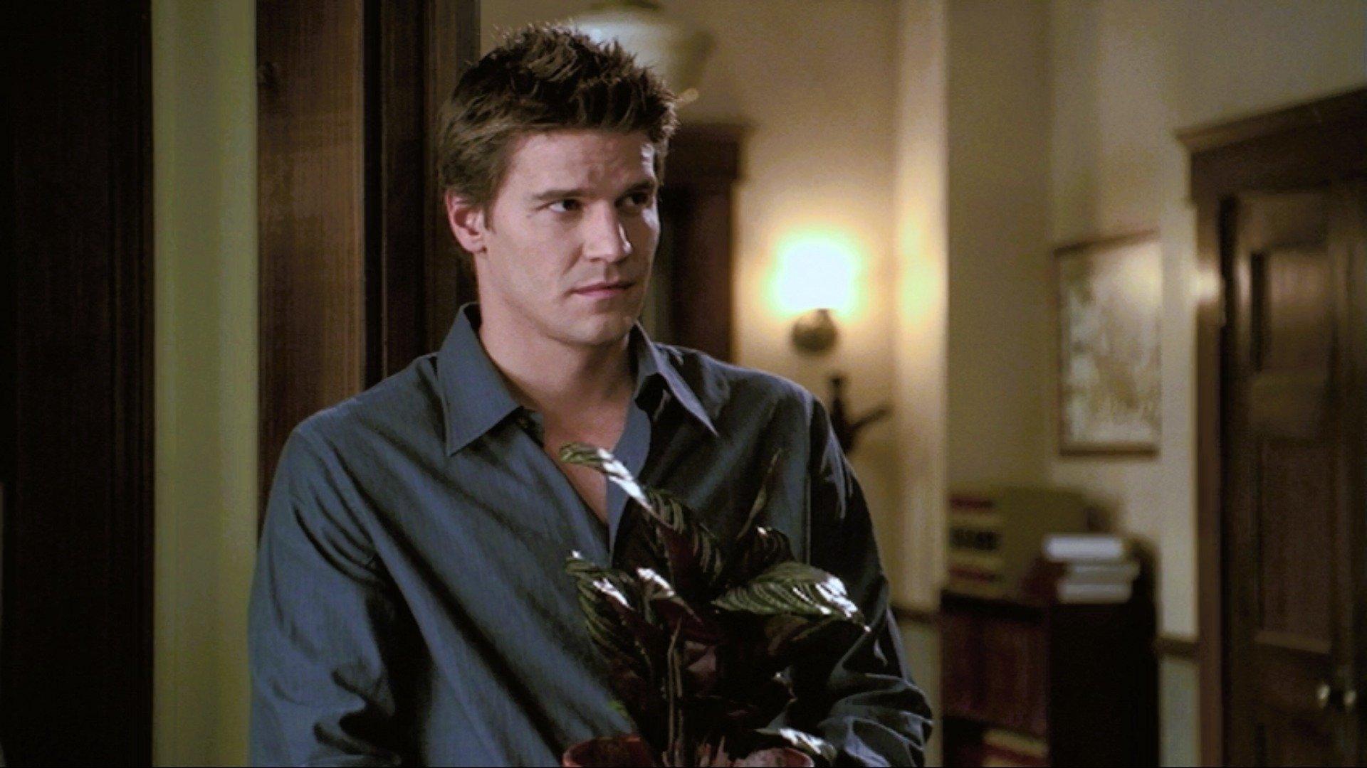 Still from I Fall to Pieces