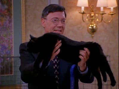 Still from Cat Showdown