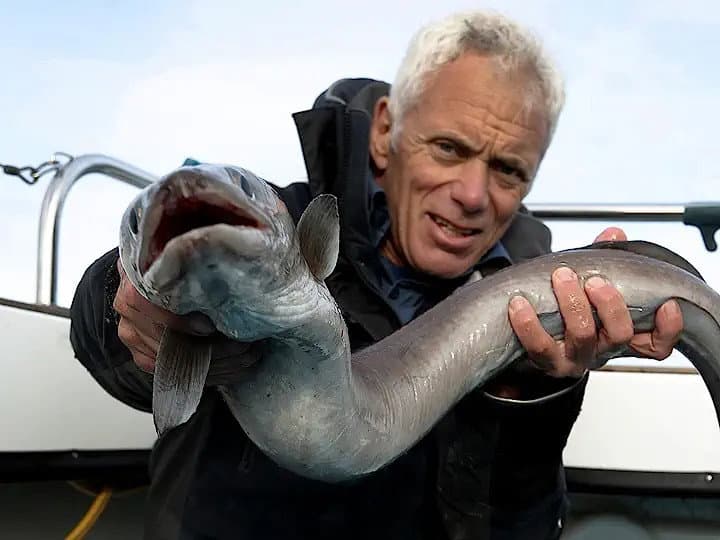 Still from Top Ten Beasts