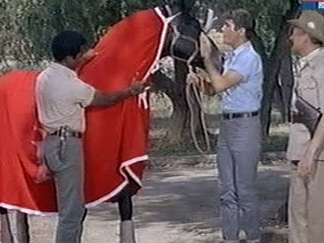 Still from Judy and the Thoroughbred
