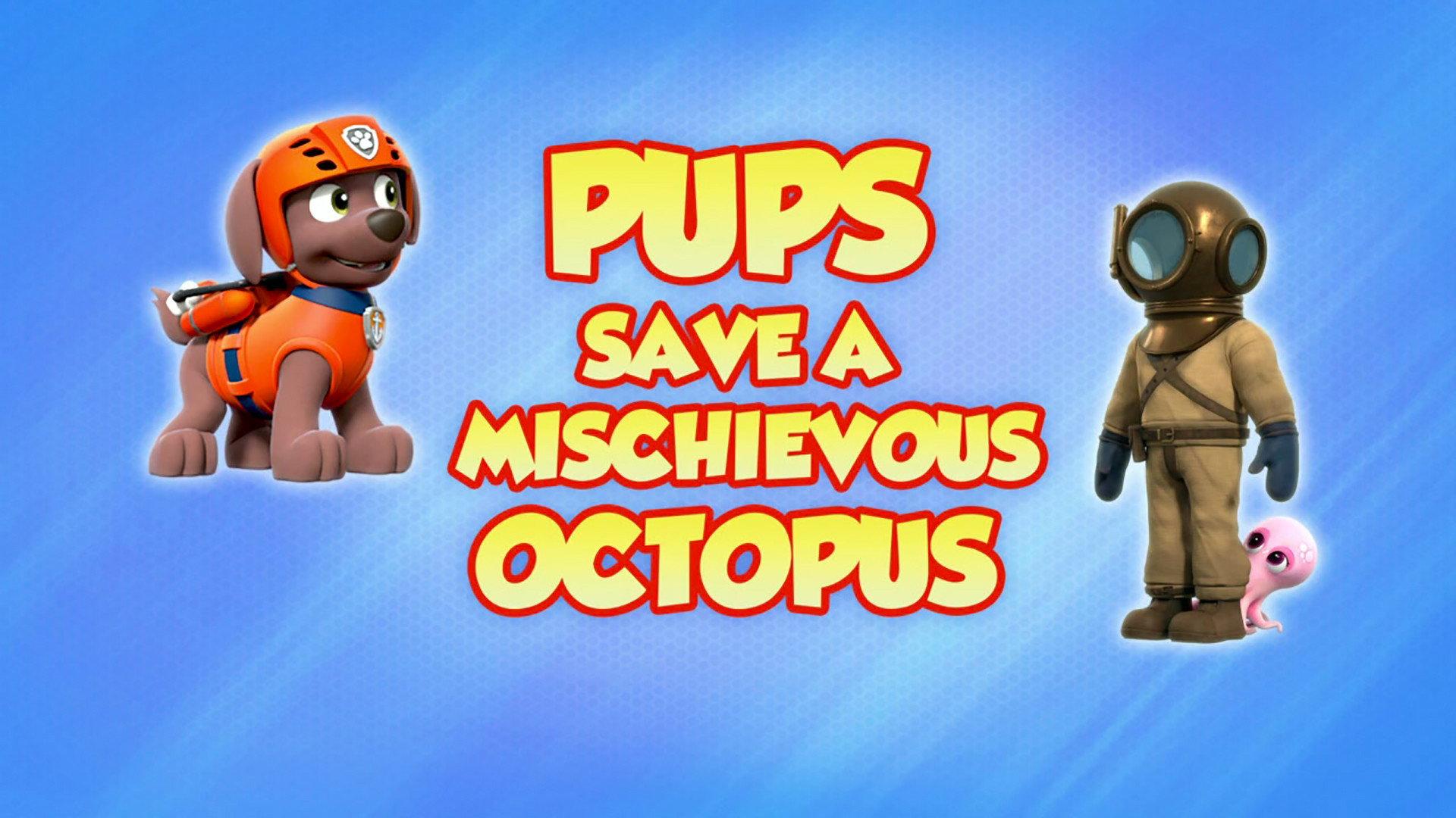 Still from Pups Save a Mischievous Octopus