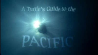 Still from A Turtle's Guide to the Pacific