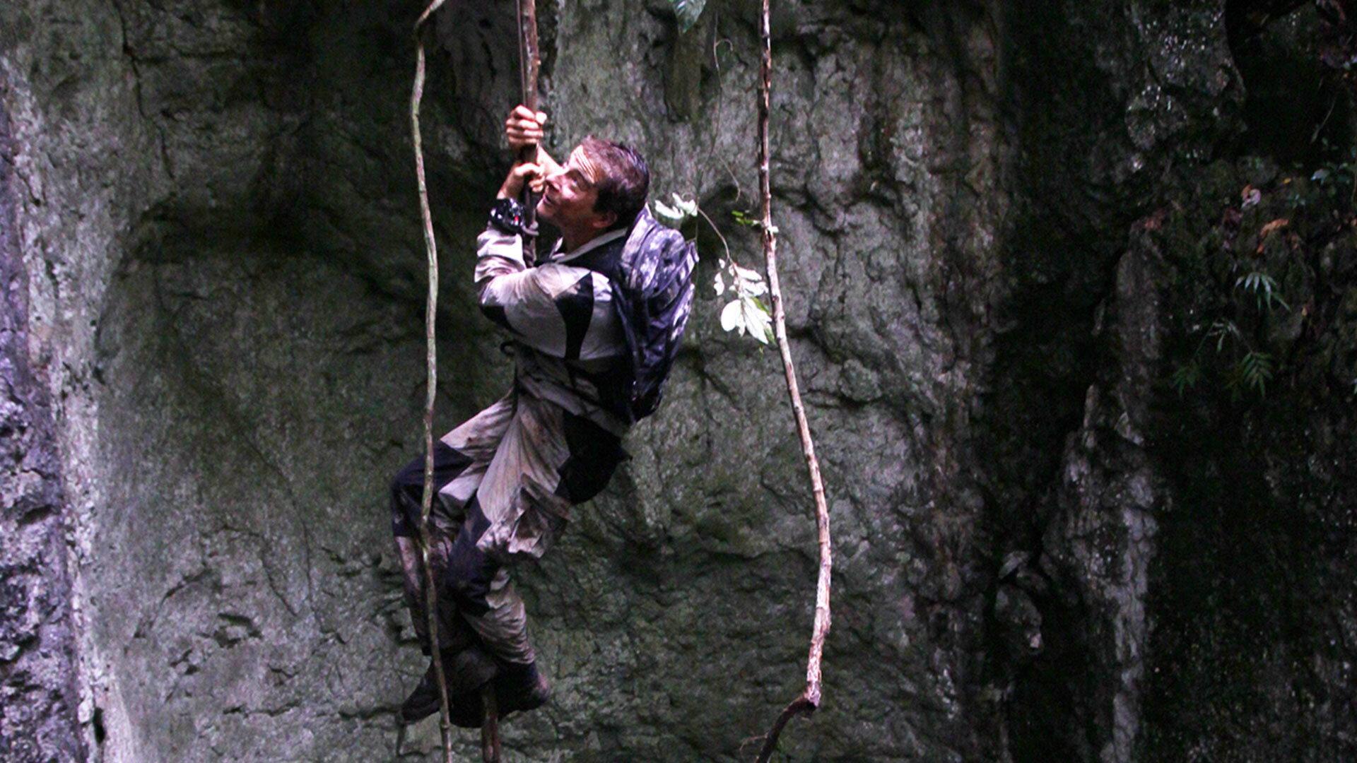 Still from Borneo Jungle