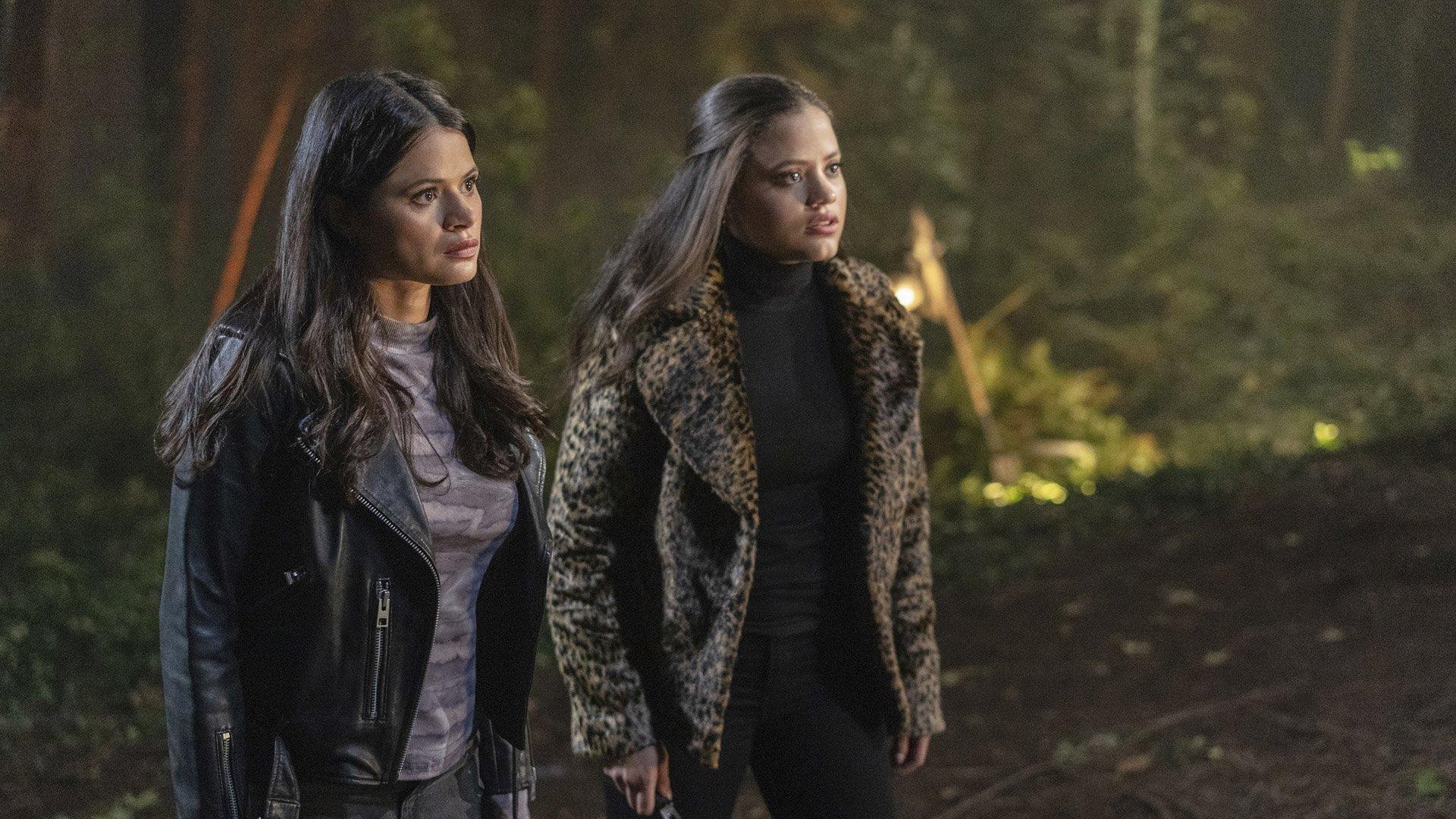 Still from The Truth about Kat and Dogs