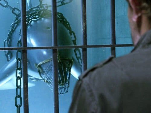 Still from Dolphinnegan's Wake
