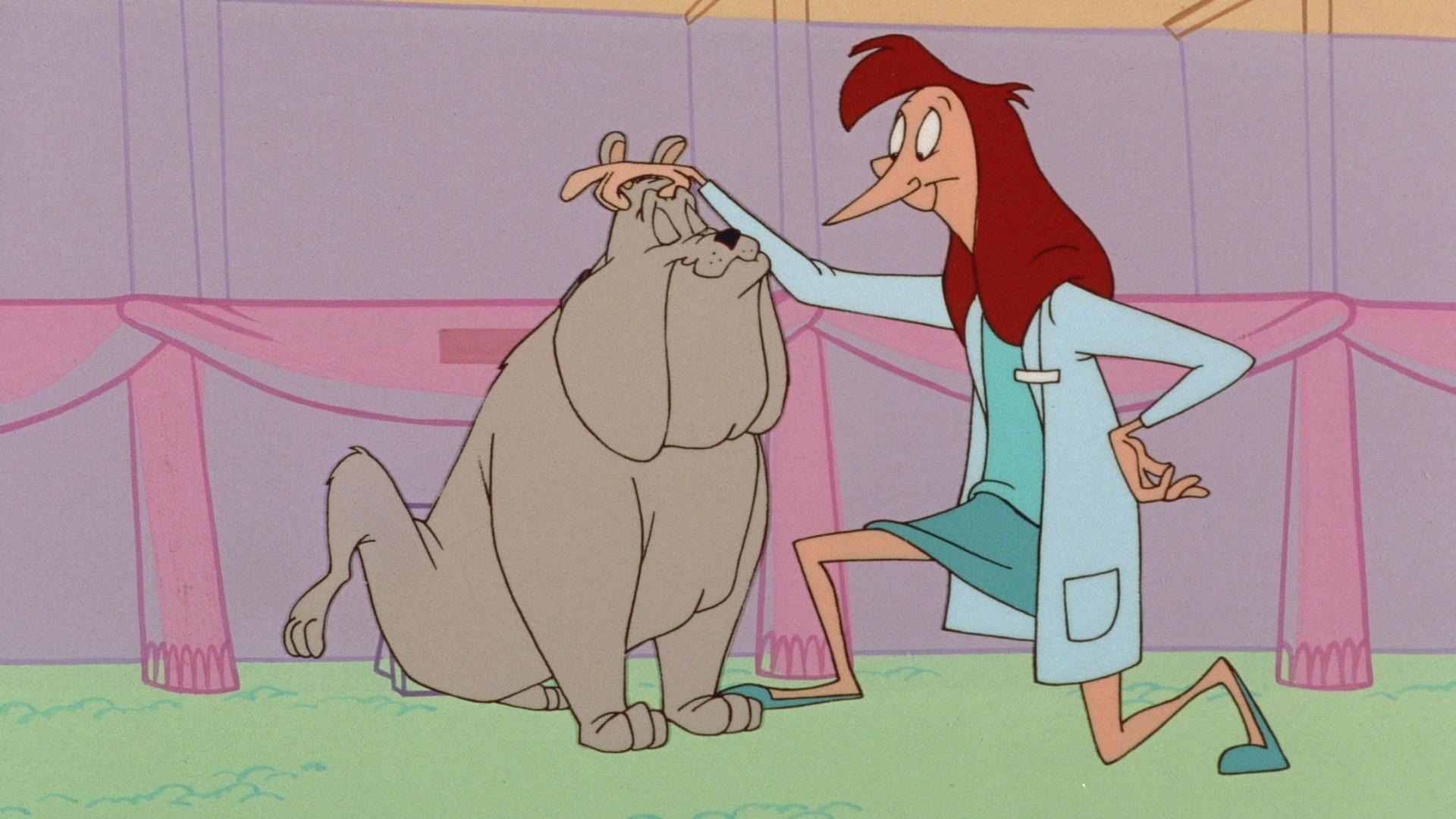 Still from El Dia de los Pussygatos