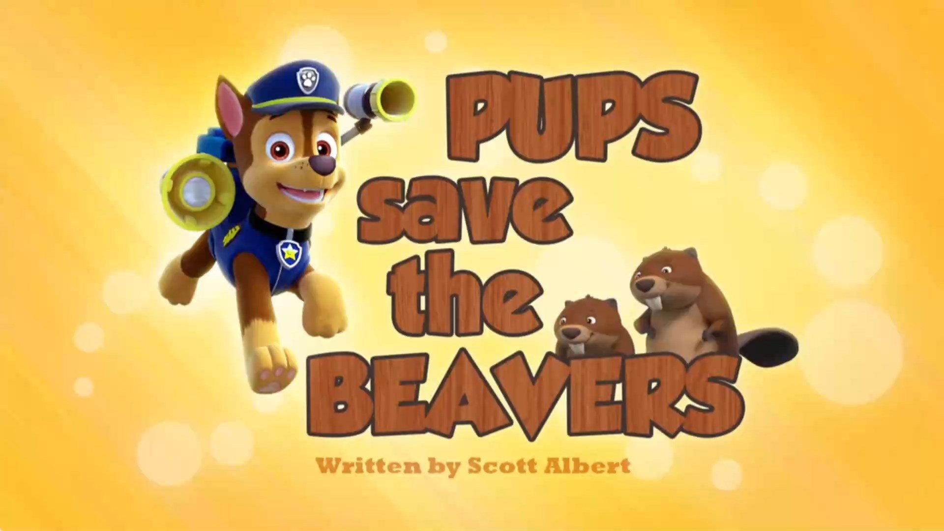 Still from Pups Save the Beavers