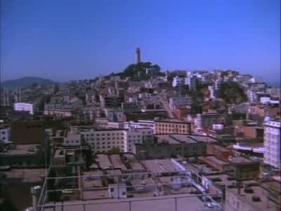 Still from The Fine Art of Staying Alive