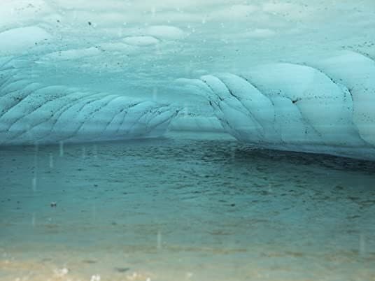 Still from Cloning the Woolly Mammoth