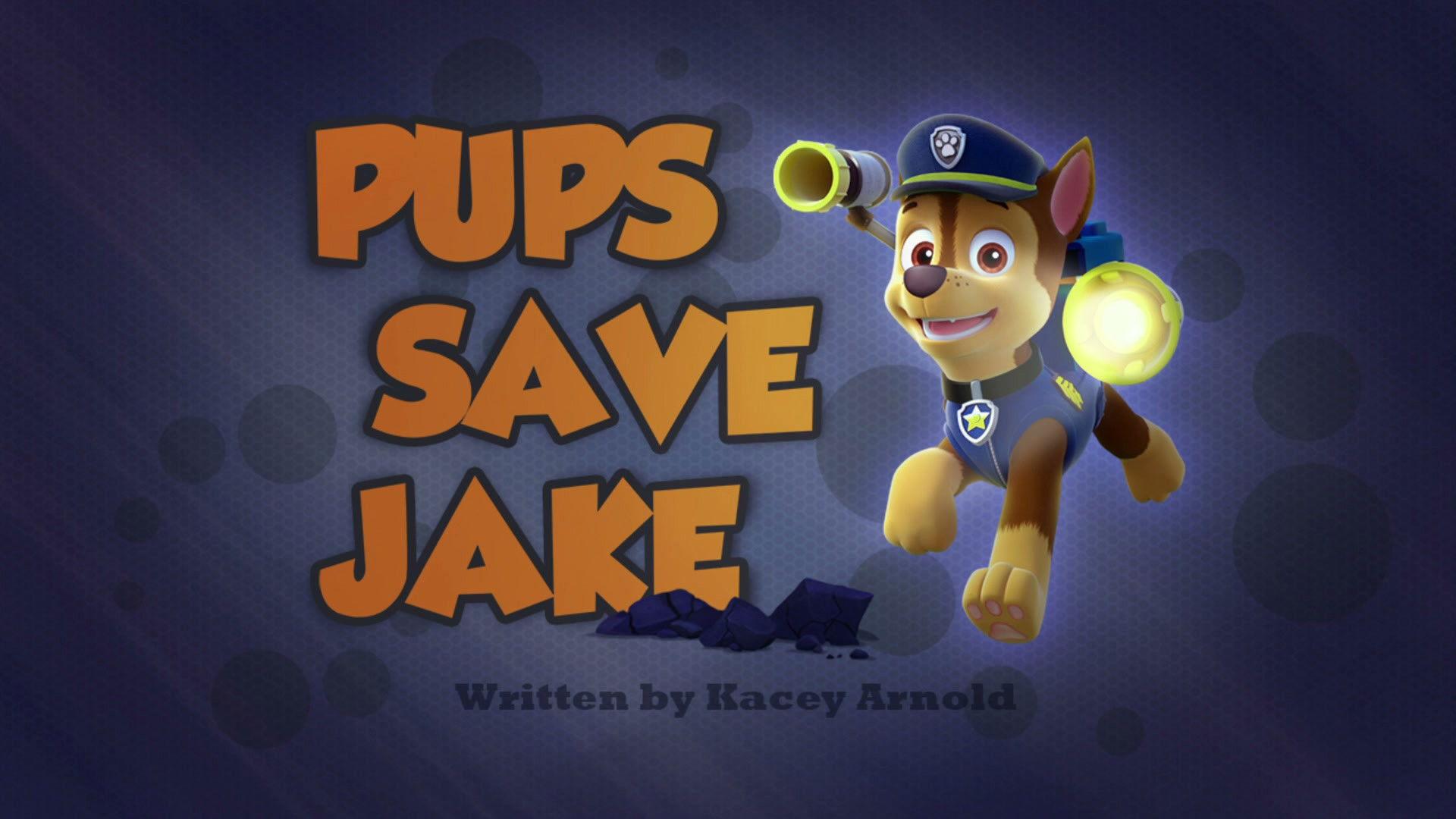 Still from Pups Save Jake