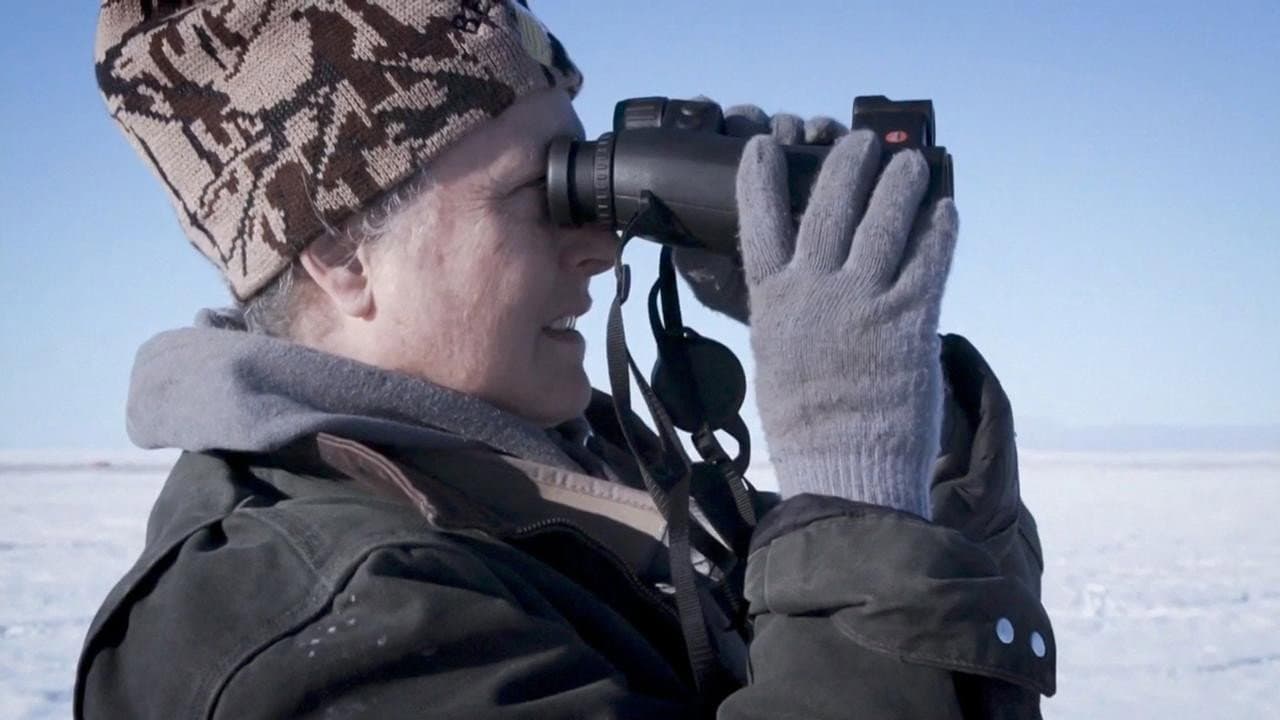 Still from Adapt Or Die