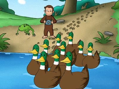 Still from Animal Trackers