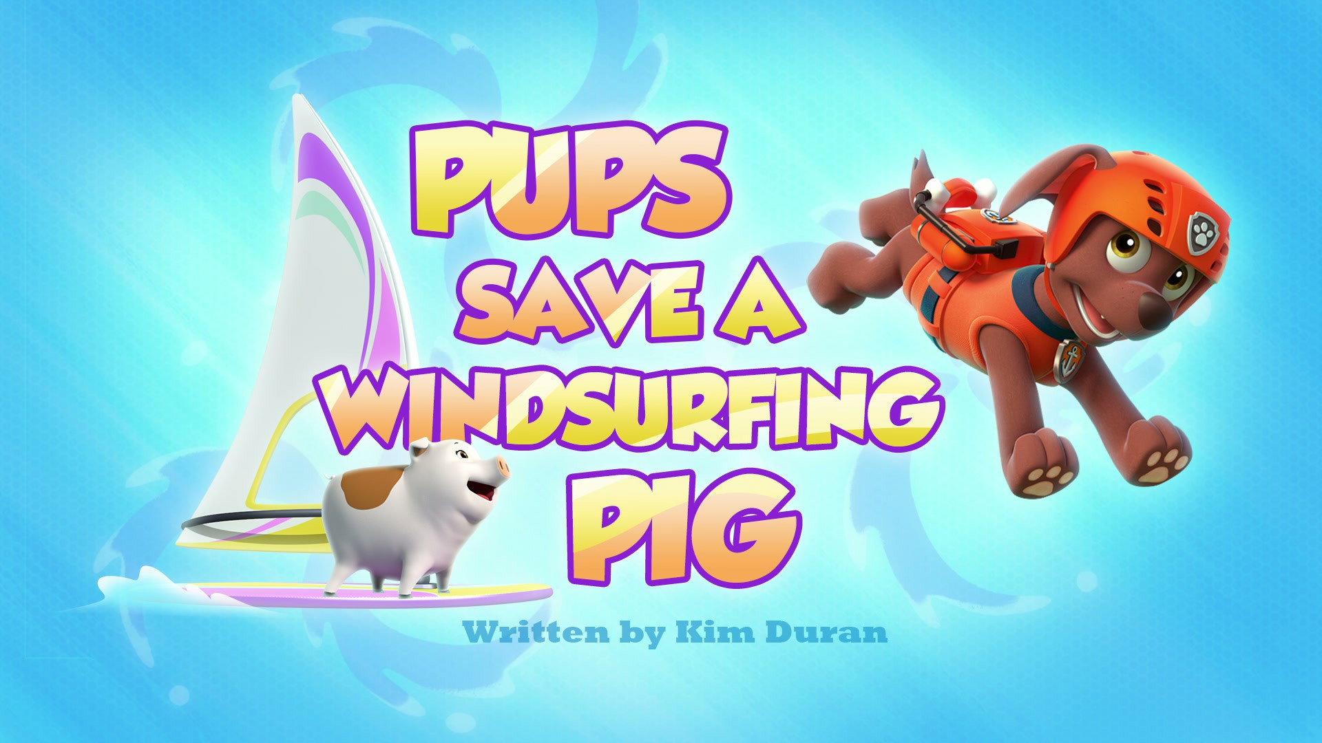 Still from Pups Save a Windsurfing Pig