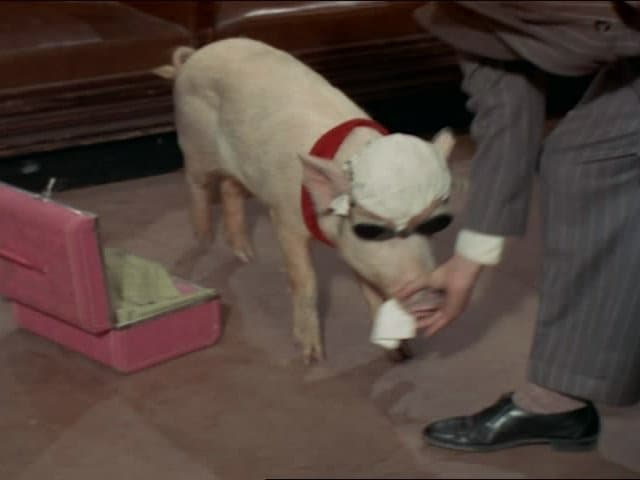 Still from Economy Flight to Washington