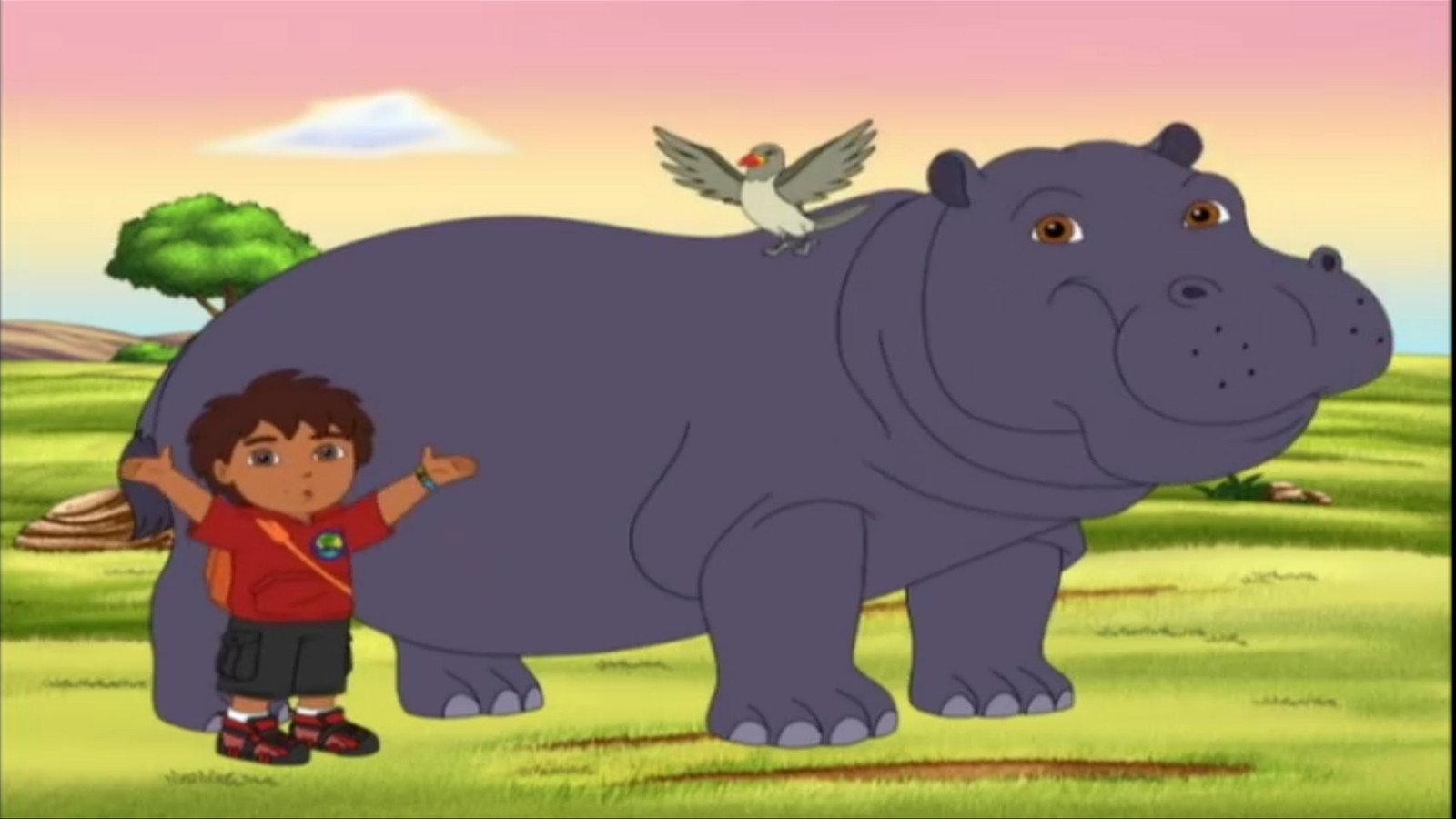 Still from Diego Reunites Hippo & Oxpecker