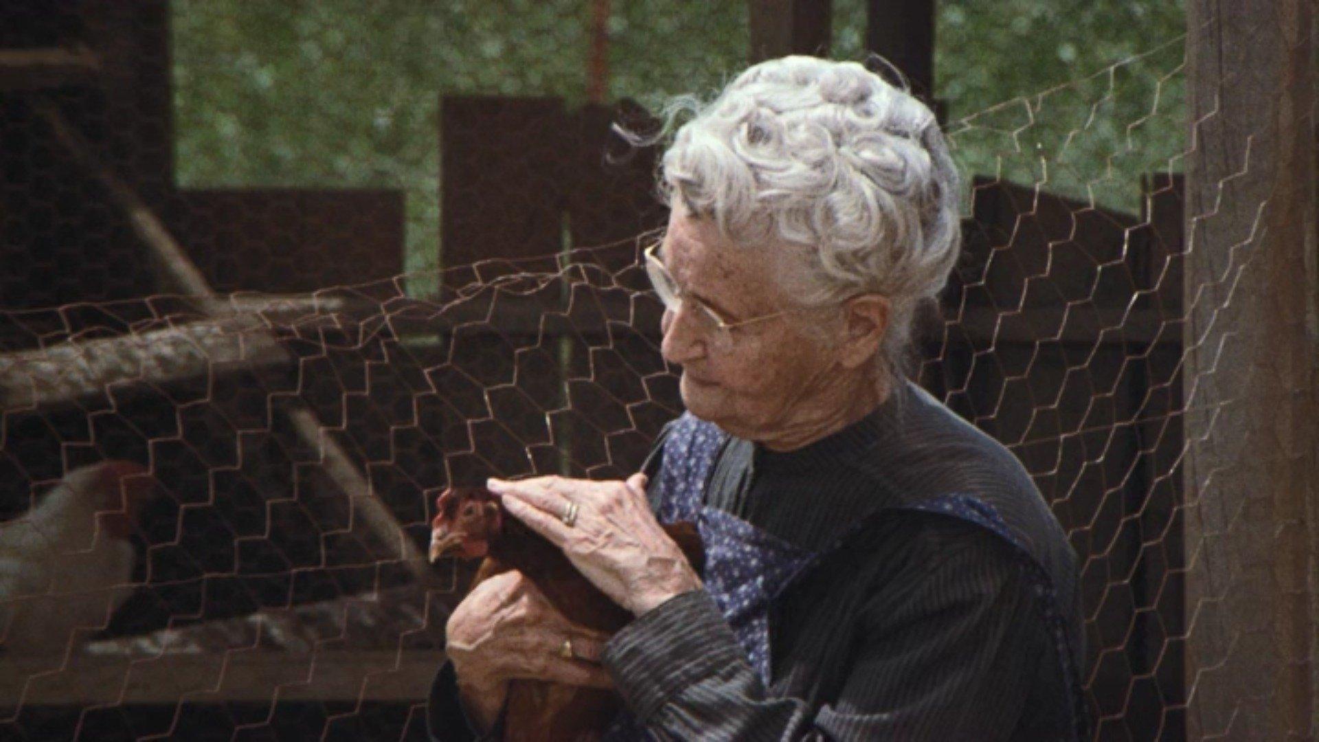 Still from The Chicken Thief