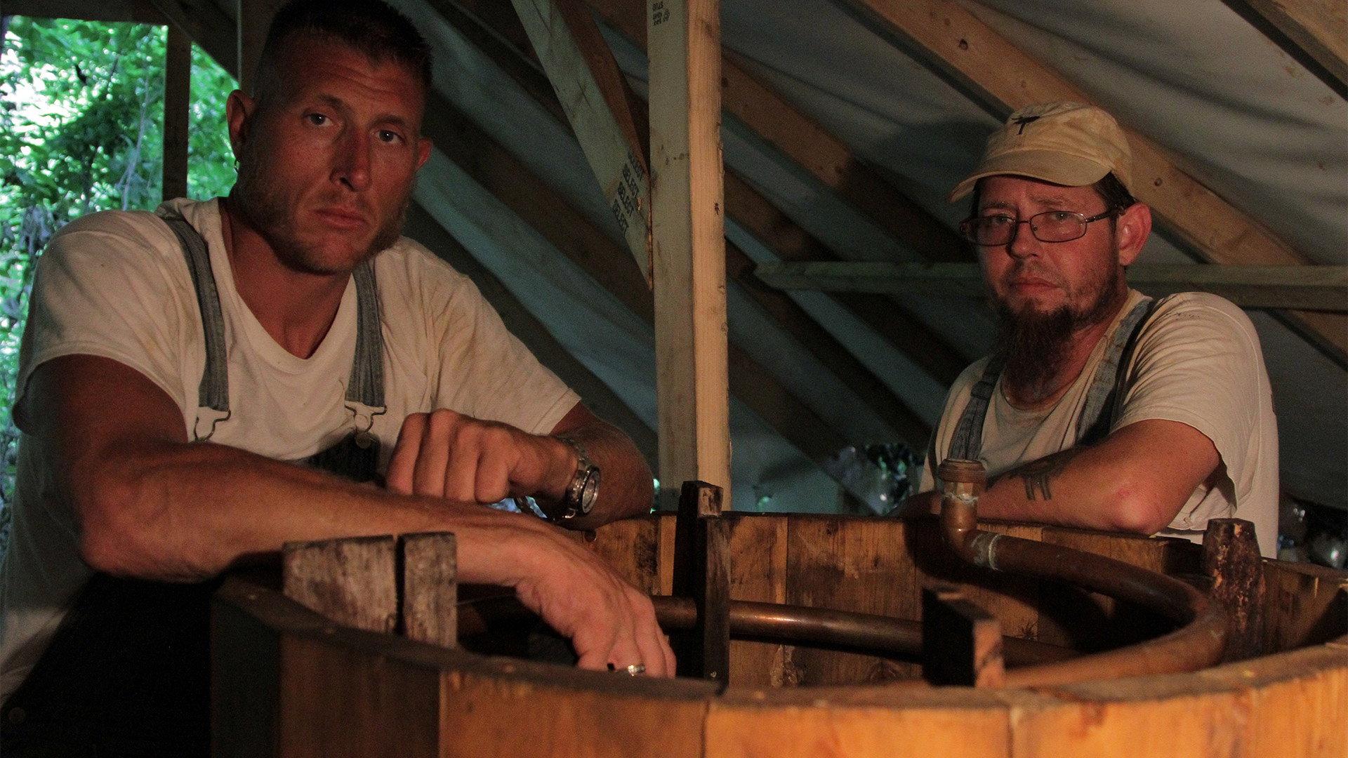 Still from Out on a Limb