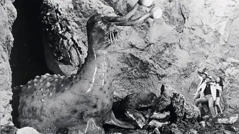 Still from The Gift From Space