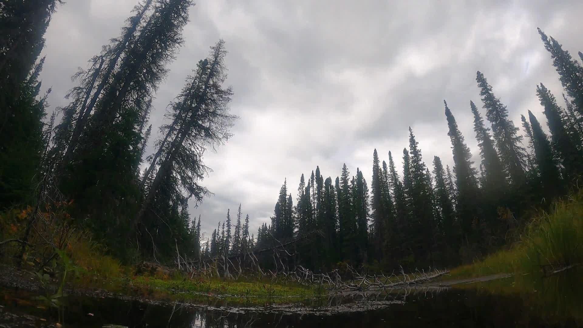 Still from The Beaver