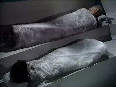 Still from Planet of the Spiders (5)