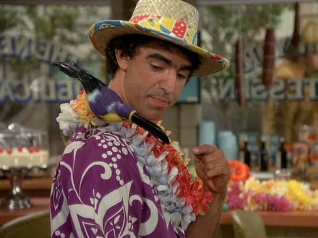 Still from Mork's Baby Blues
