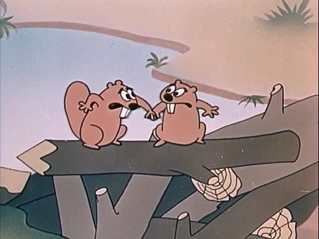 Still from Beaver or Not