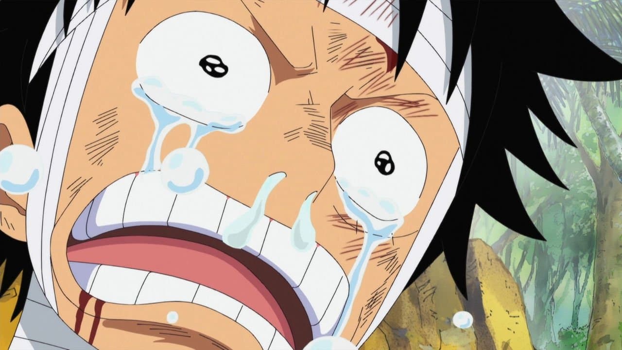 Still from I Want to See Them! Luffy's Mournful Cry!