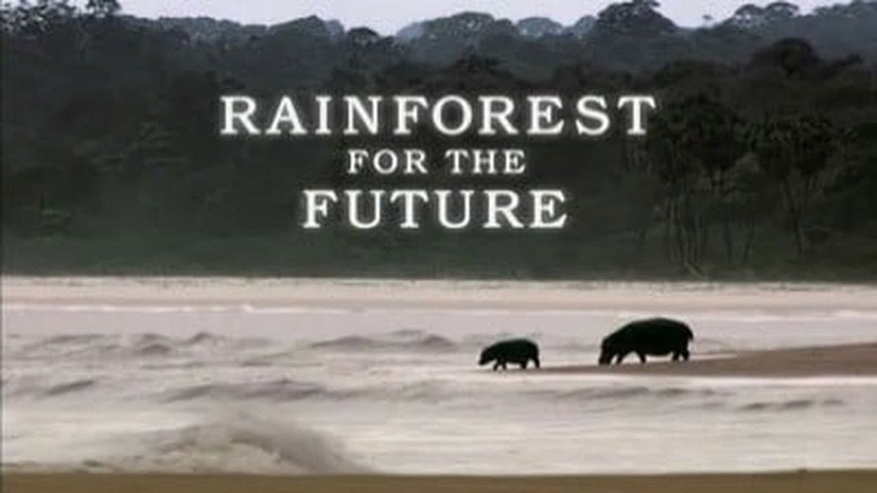 Still from Rainforests for the Future