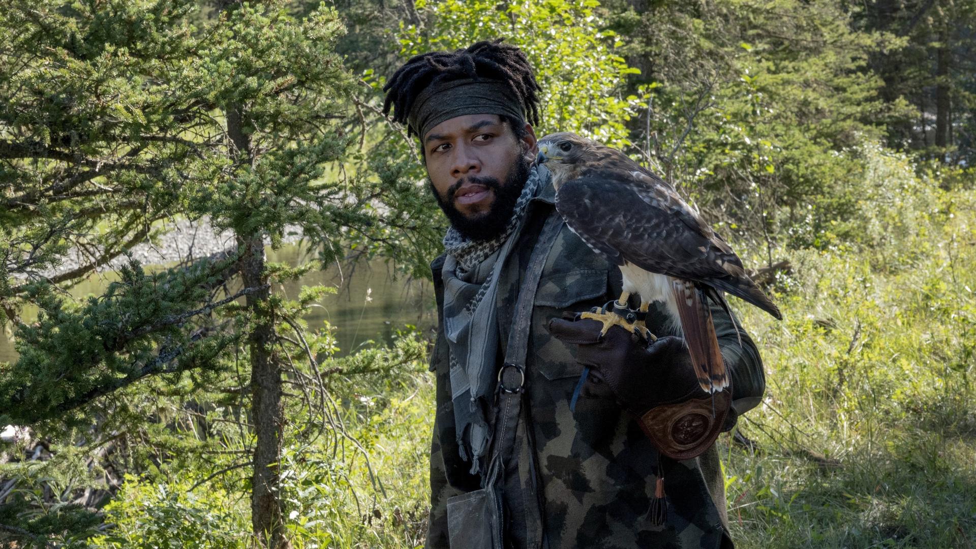 Still from Ducks and Falcons