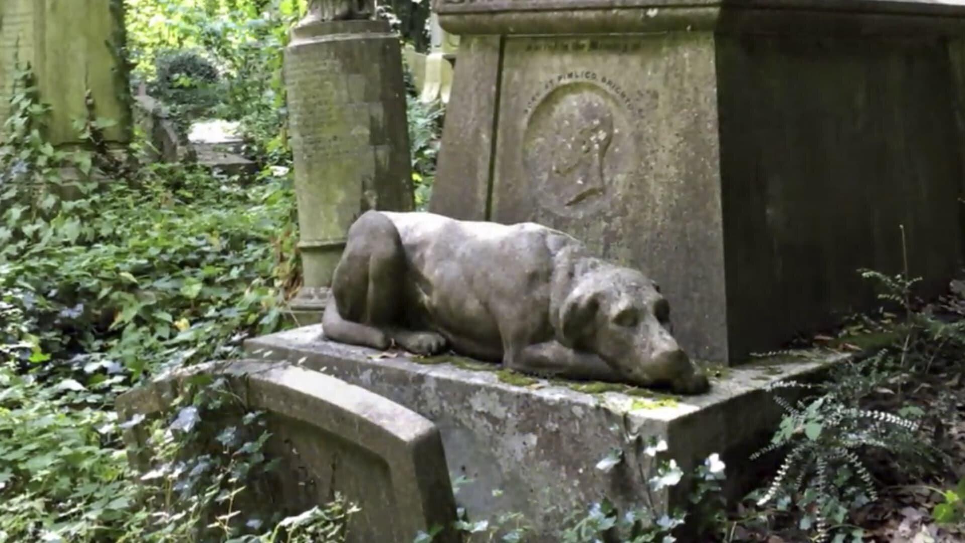 Still from Ghost Dogs and More