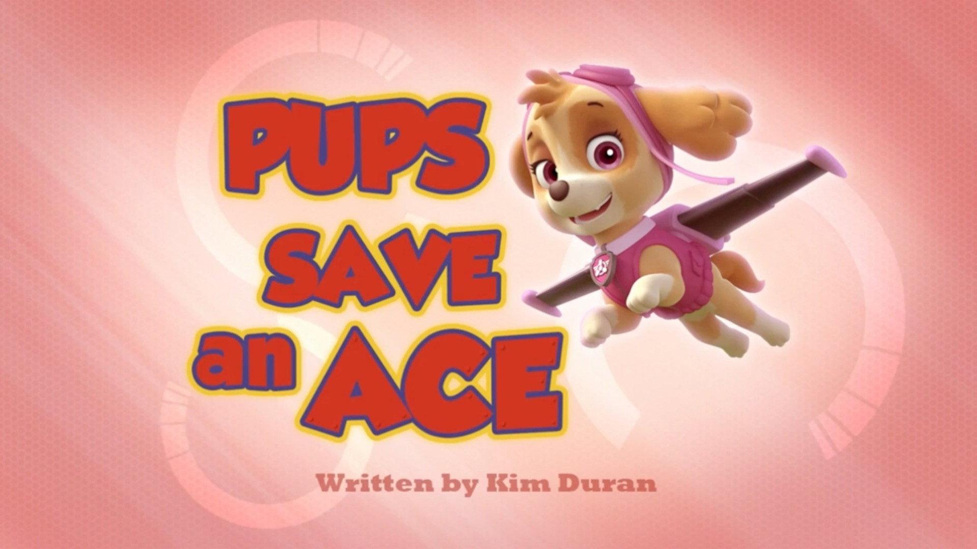 Still from Pups Save an Ace