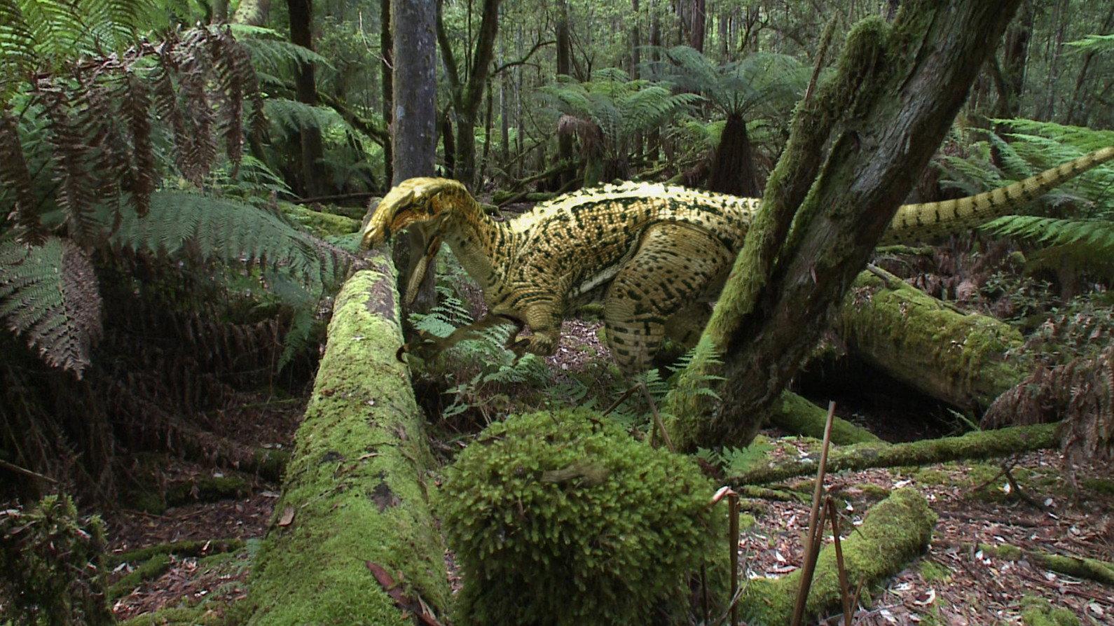 Still from Australia's First 4 Billion Years: Monsters