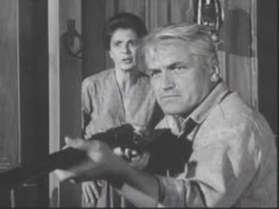 Still from Run, Sheep, Run