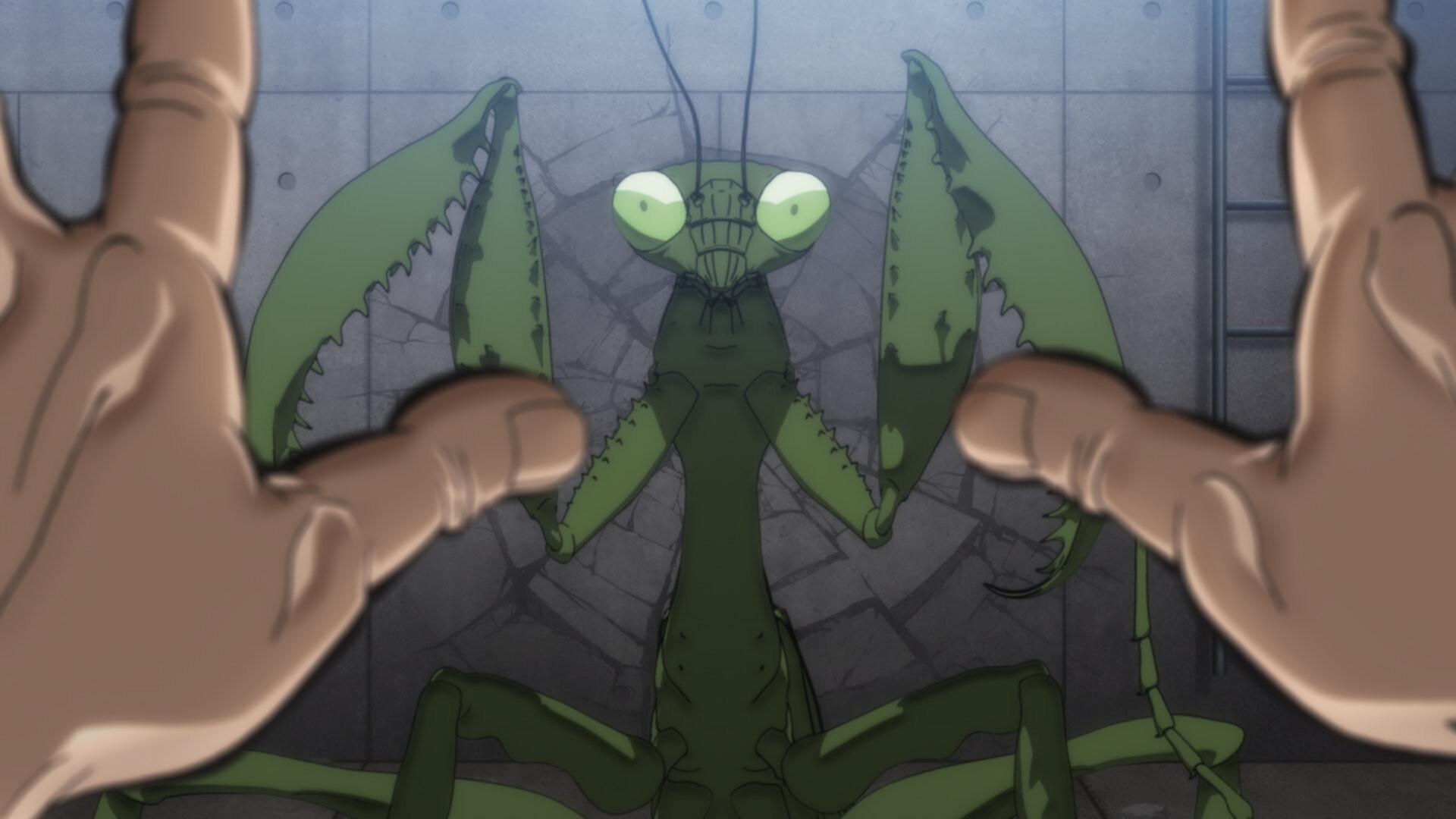 Still from Mixed species' martial arts