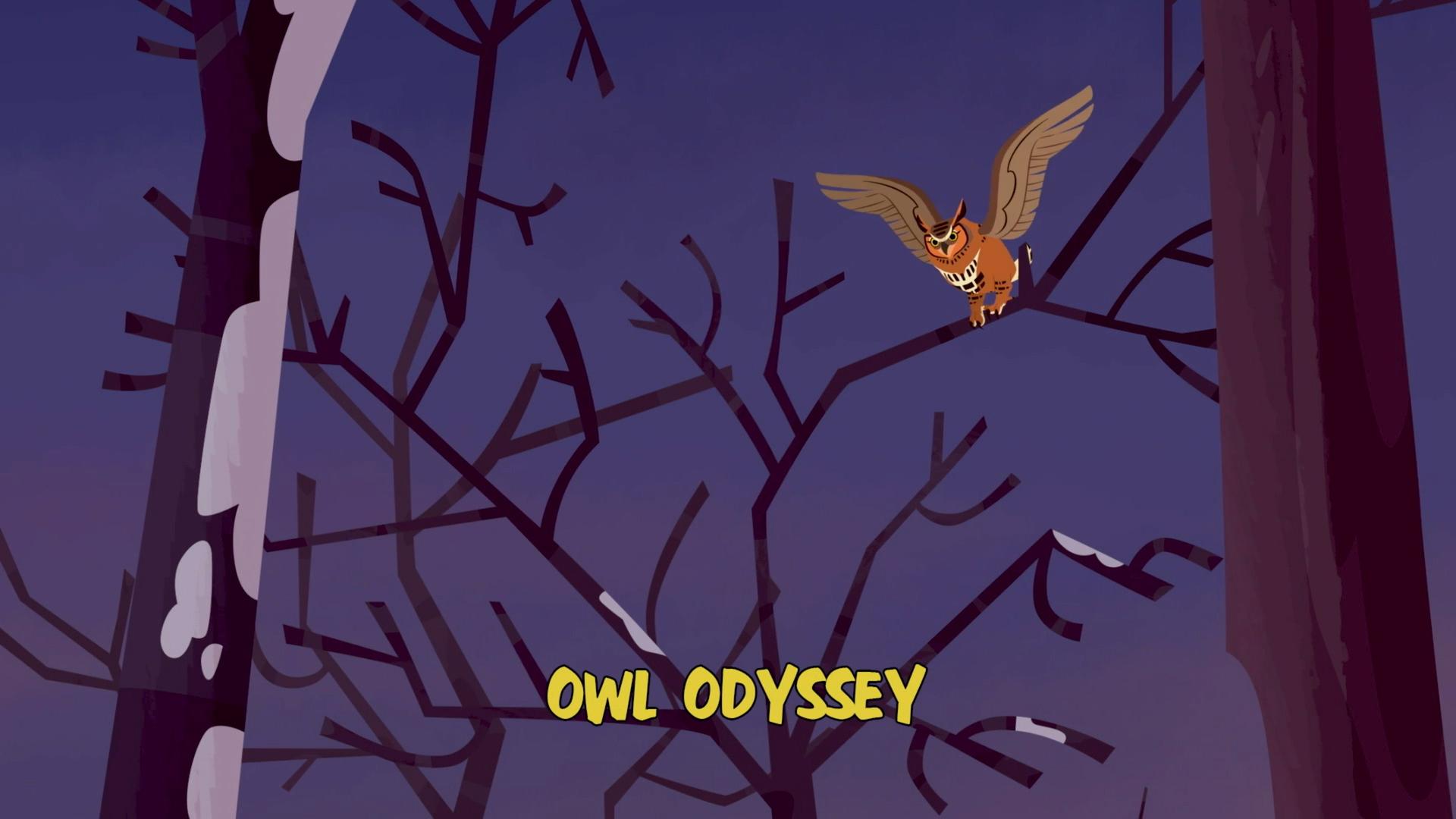 Still from Owl Odyssey