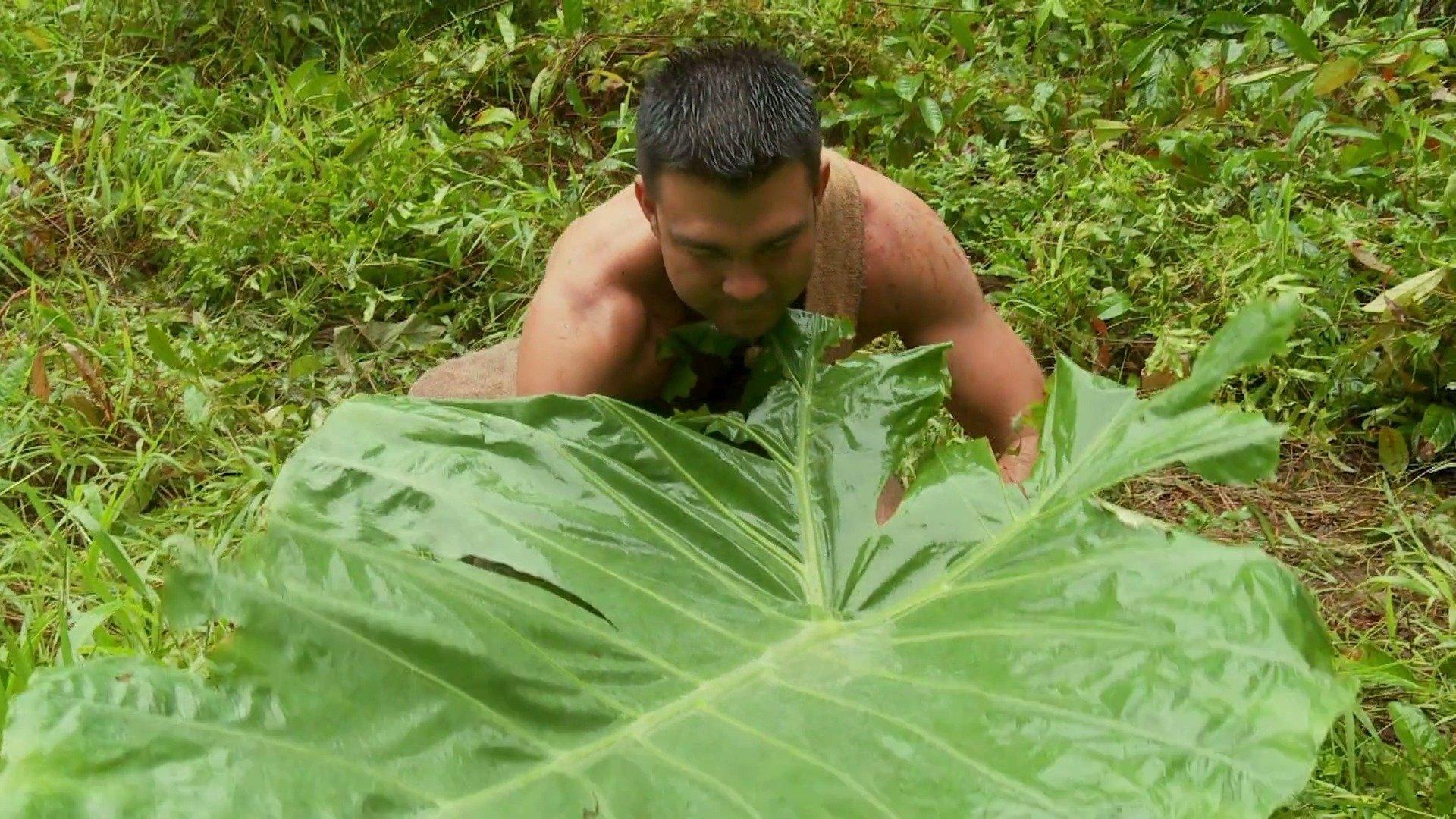 Still from The Pain Forest