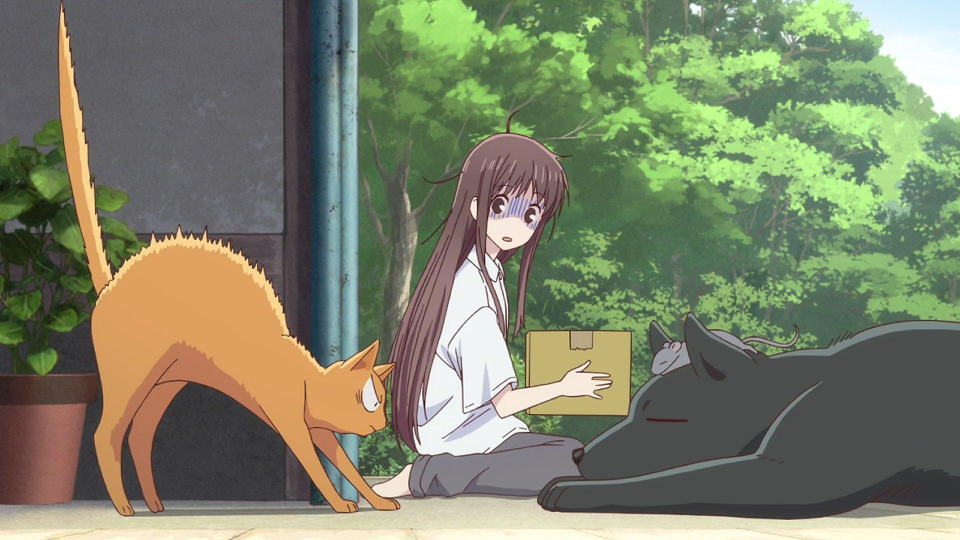 Still from They're All Animals!