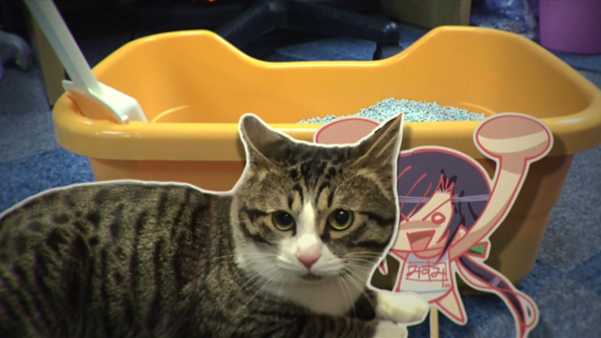 Still from Gekijou 04