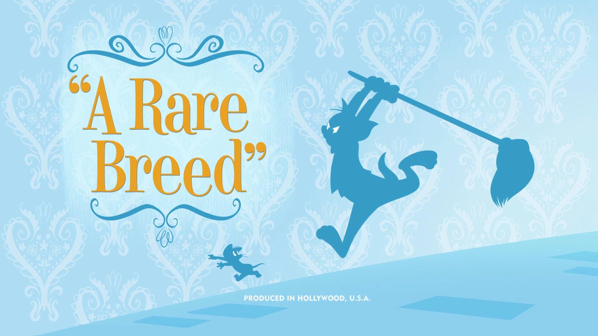Still from A Rare Breed