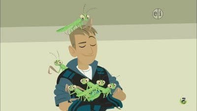Still from Praying Mantis