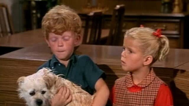 Still from Best of Breed