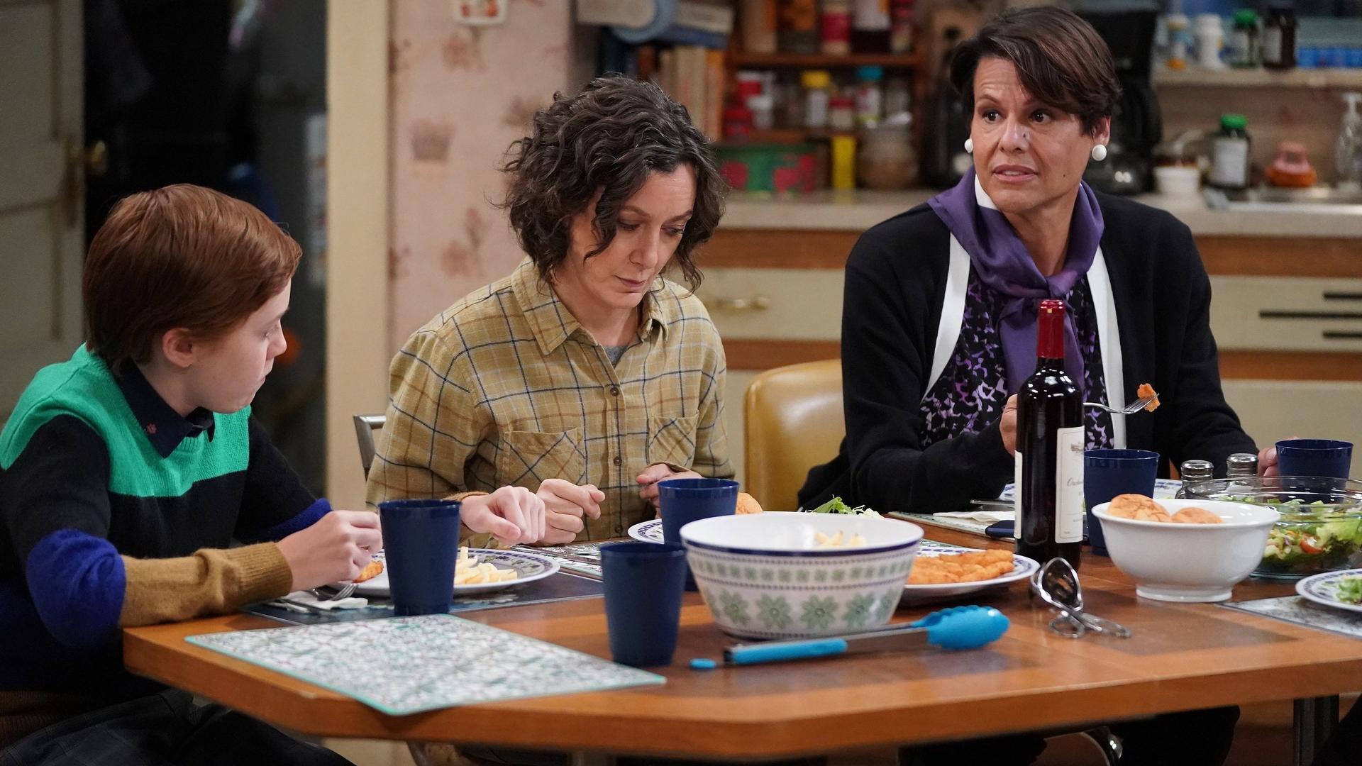 Still from Friends in High Places and Horse Surgery