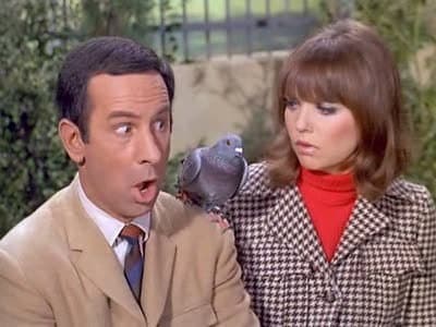 Still from Spy, Spy, Birdie