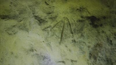 Still from Cone E Island