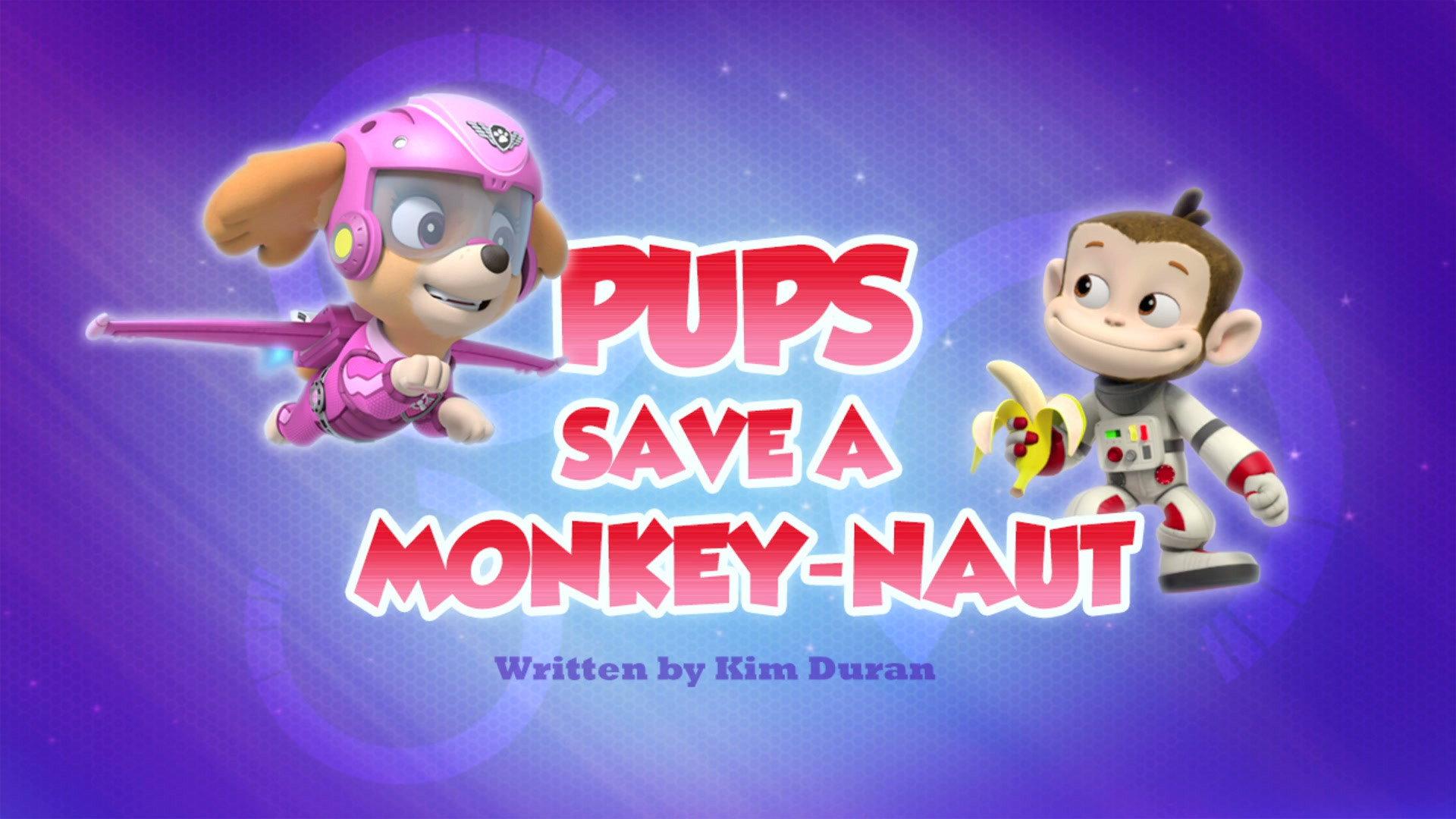 Still from Pups Save a Monkey-naut