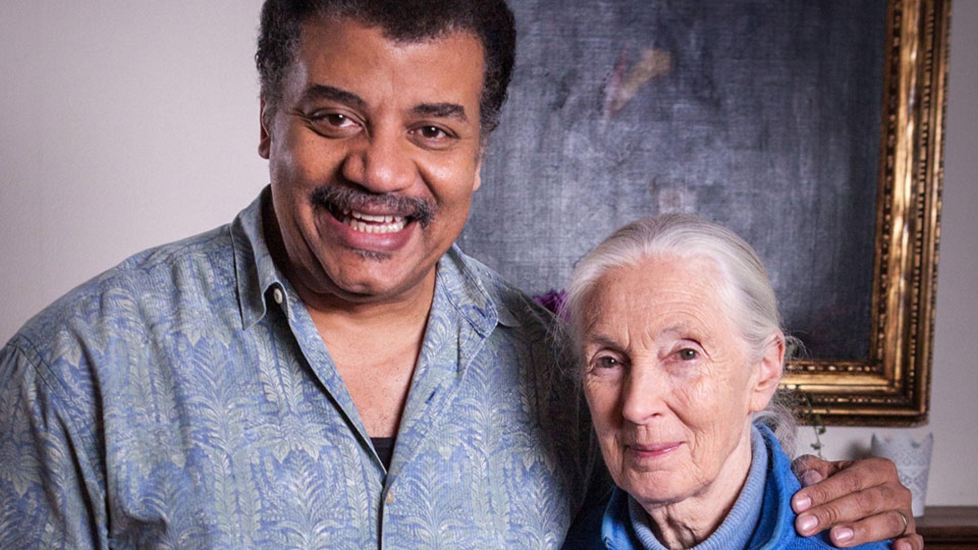 Still from Jane Goodall