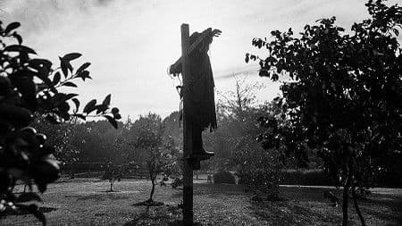 Still from The Scarecrow